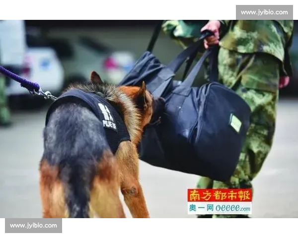 杨程晒与马斯切拉诺合影:昔日战友的足球情缘与执教征程的期许 杨程晒与马斯切拉诺合影:昔日战友的足球情缘与执教征程的期许